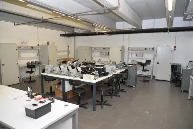 lab