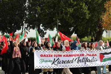 5555.jpeg