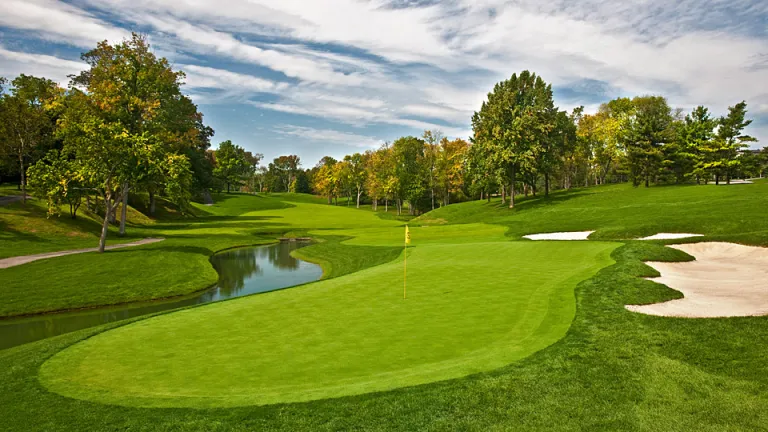 golf4b15fb6a25664986a6db9d3a29ac3676.jpg